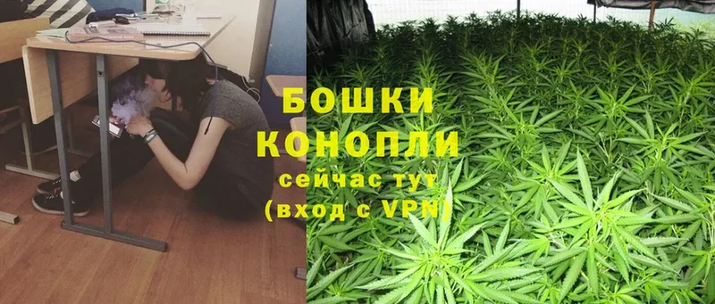 наркотики  Семилуки  Шишки марихуана SATIVA & INDICA 